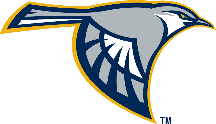 Chattanooga Mocs 2008-2014 Secondary Logo iron on transfers for clothing